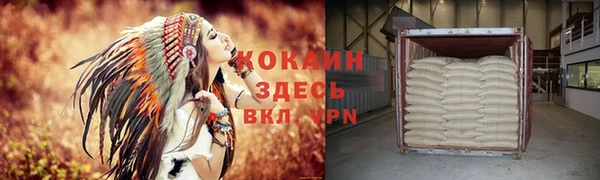 мдпв Гусь-Хрустальный