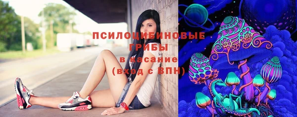 Альфа ПВП Алзамай