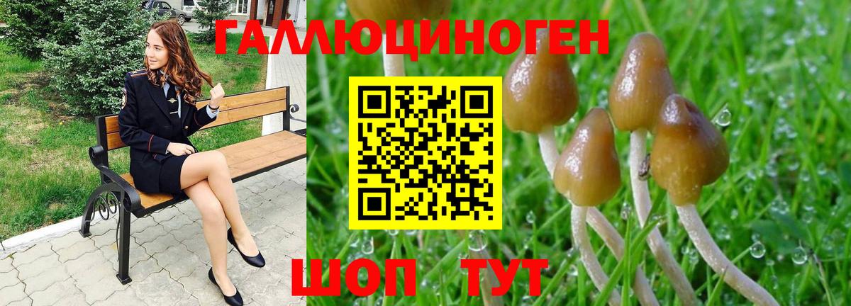 Галлюциногенные грибы MAGIC MUSHROOMS Первоуральск